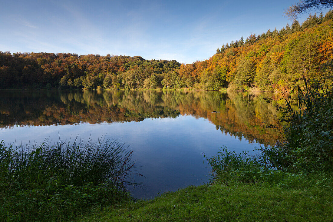 Holzmaar, bei Daun, Eifelsteig, Eifel, Rheinland-Pfalz, Deutschland