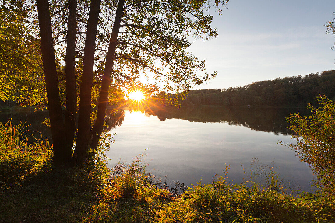 Holzmaar, near Daun, Eifelsteig hiking trail, Eifel, Rhineland-Palatinate, Germany