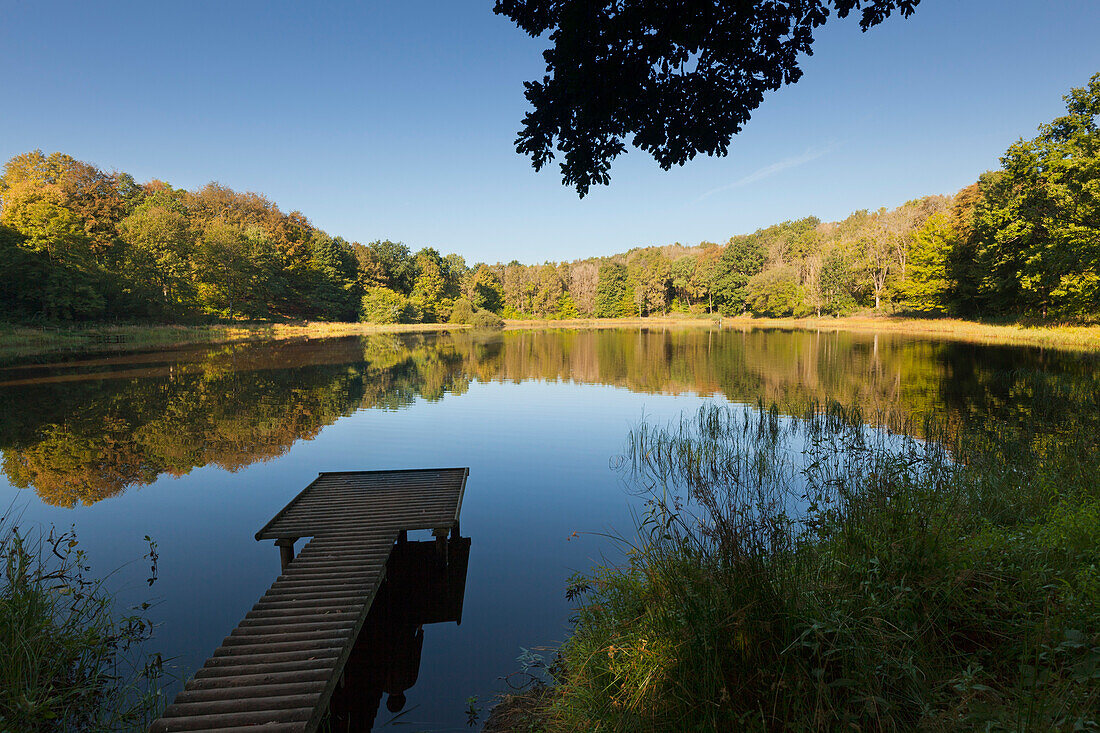 Windsborn-Bergkratersee auf dem Mosenberg, bei Bettenfeld, Eifelsteig, Eifel, Rheinland-Pfalz, Deutschland