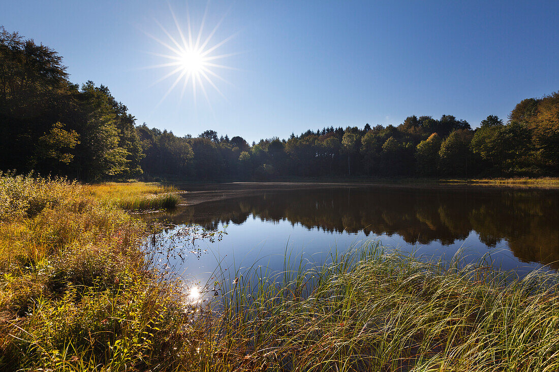 Windsborn-Bergkratersee auf dem Mosenberg, bei Bettenfeld, Eifelsteig, Eifel, Rheinland-Pfalz, Deutschland