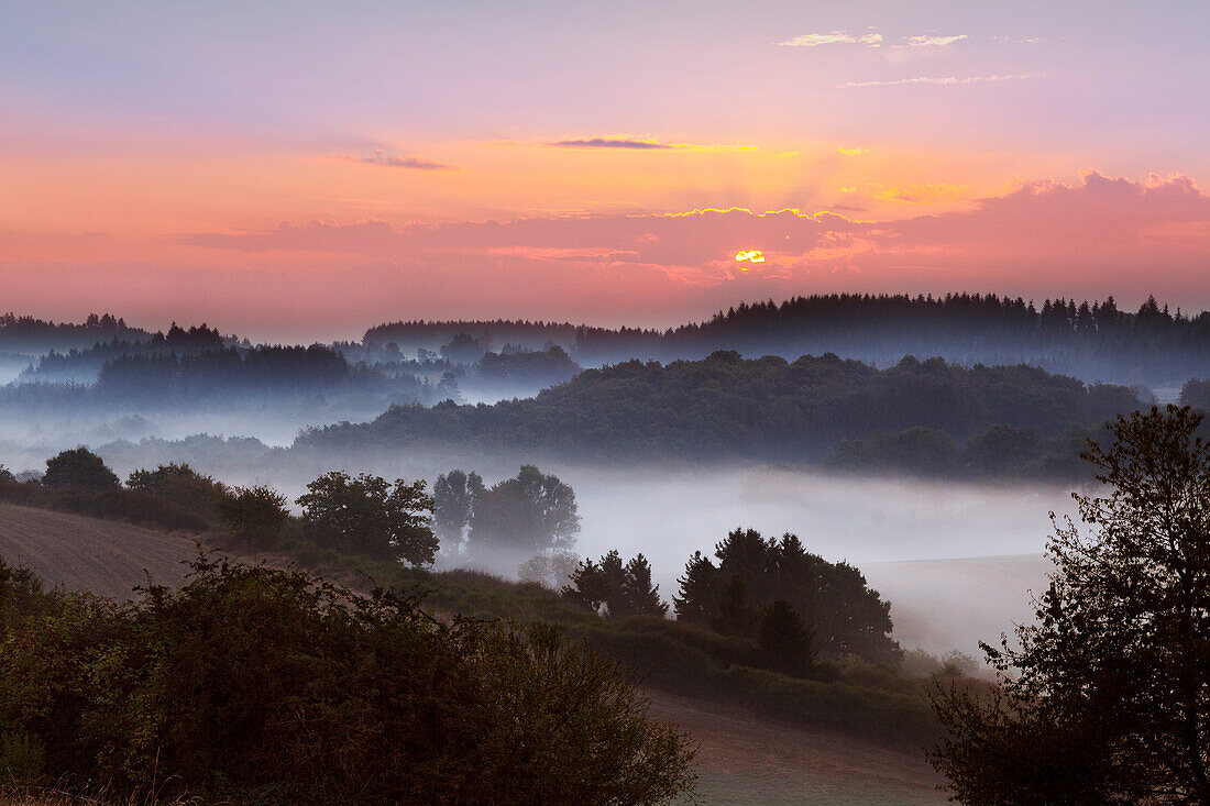 Morgennebel, Eifelsteig, Eifel, Rheinland-Pfalz, Deutschland