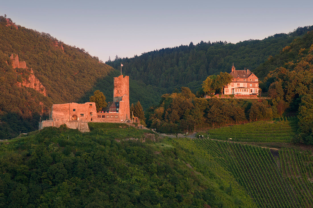 Burg Landshut oberhalb von Bernkastel-Kues, Mosel, Rheinland-Pfalz, Deutschland