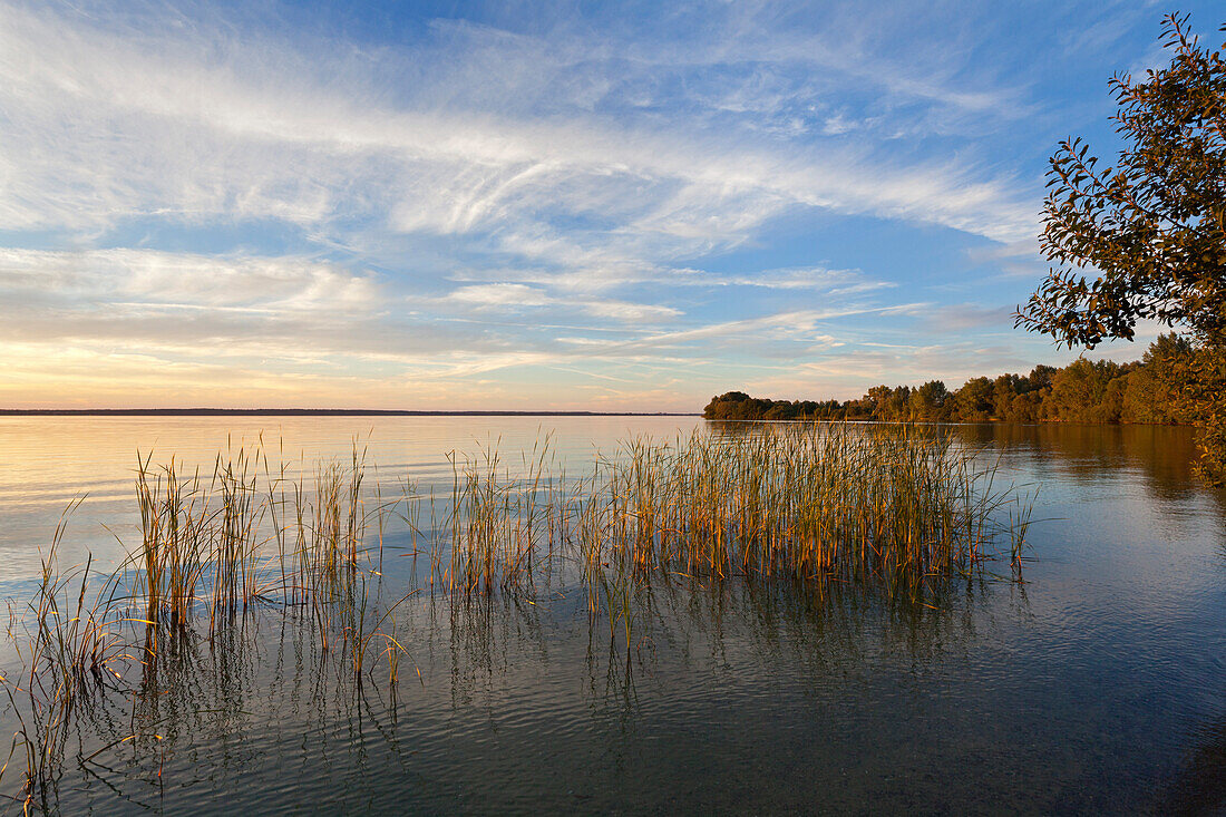 Schweriner See, Mecklenburgische Seenplatte, Mecklenburg-Vorpommern, Deutschland