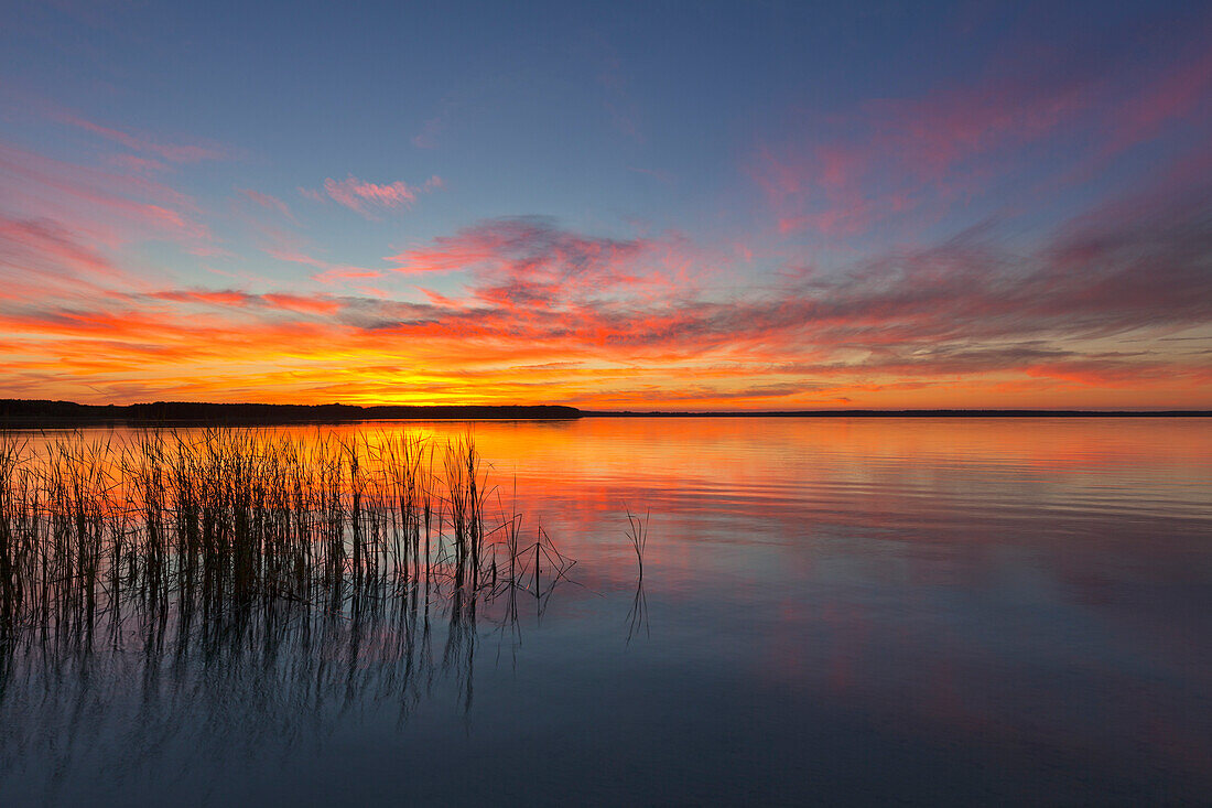 Schweriner See, Mecklenburgische Seenplatte, Mecklenburg-Vorpommern, Deutschland