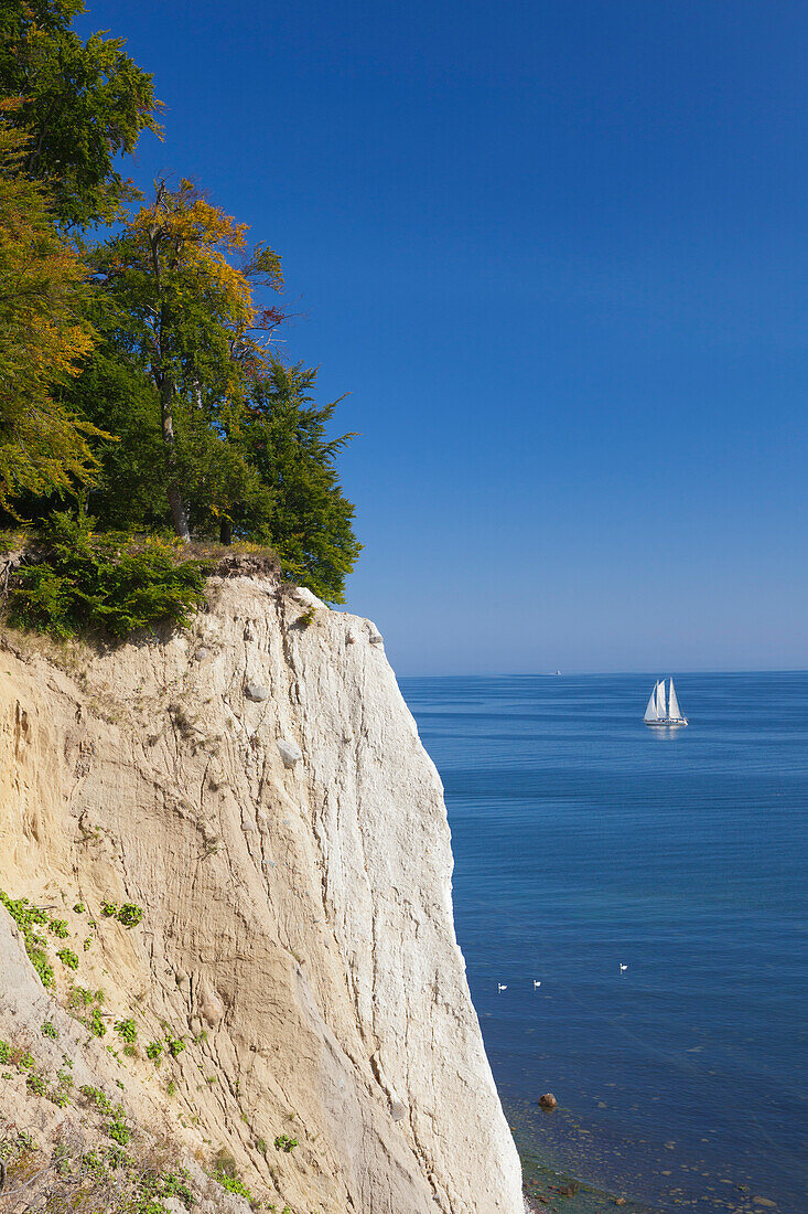 Sailing ship and chalk cliffs, Jasmund national park, Ruegen, Baltic Sea, Mecklenburg-West Pomerania, Germany