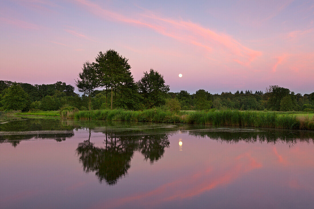 Mond spiegelt sich in der Gräfte, Münsterland, Nordrhein-Westfalen, Deutschland