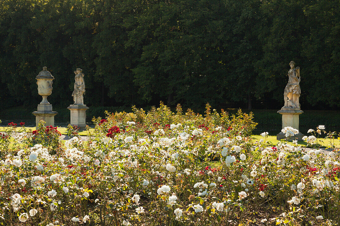 Park, Wasserschloss Burg Anholt, bei Isselburg, Münsterland, Nordrhein-Westfalen, Deutschland