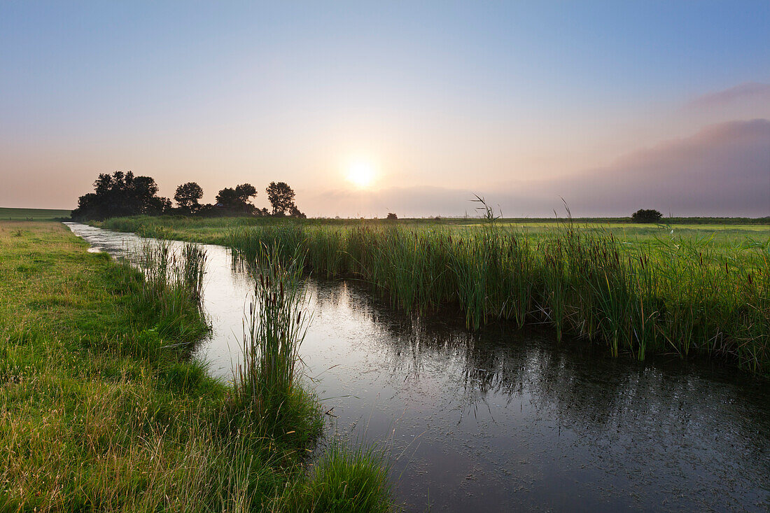 Priel in den Salzwiesen beim Leuchtturm Pilsum, bei Greetsiel, Ostfriesland, Niedersachsen, Deutschland