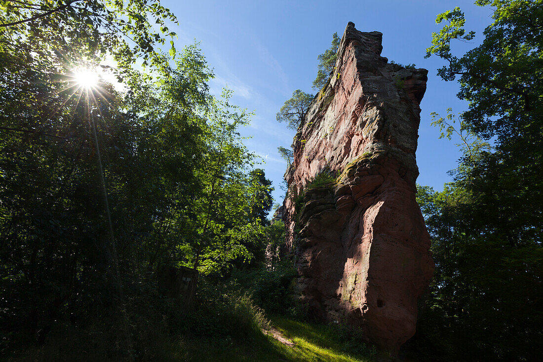 Rock needle, near Annweiler, Palatinate Forest, Rhineland-Palatinate, Germany