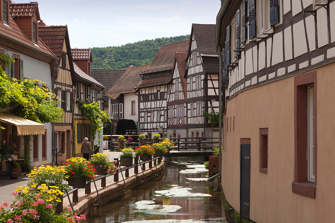 Canal in the Gerberviertel, Annweiler, Palatinate Forest, Rhineland-Palatinate, Germany