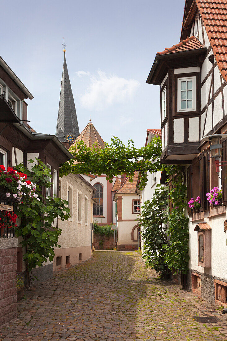 Malerviertel, Rhodt unter Rietburg, Pfälzer Wald, Rheinland-Pfalz, Deutschland