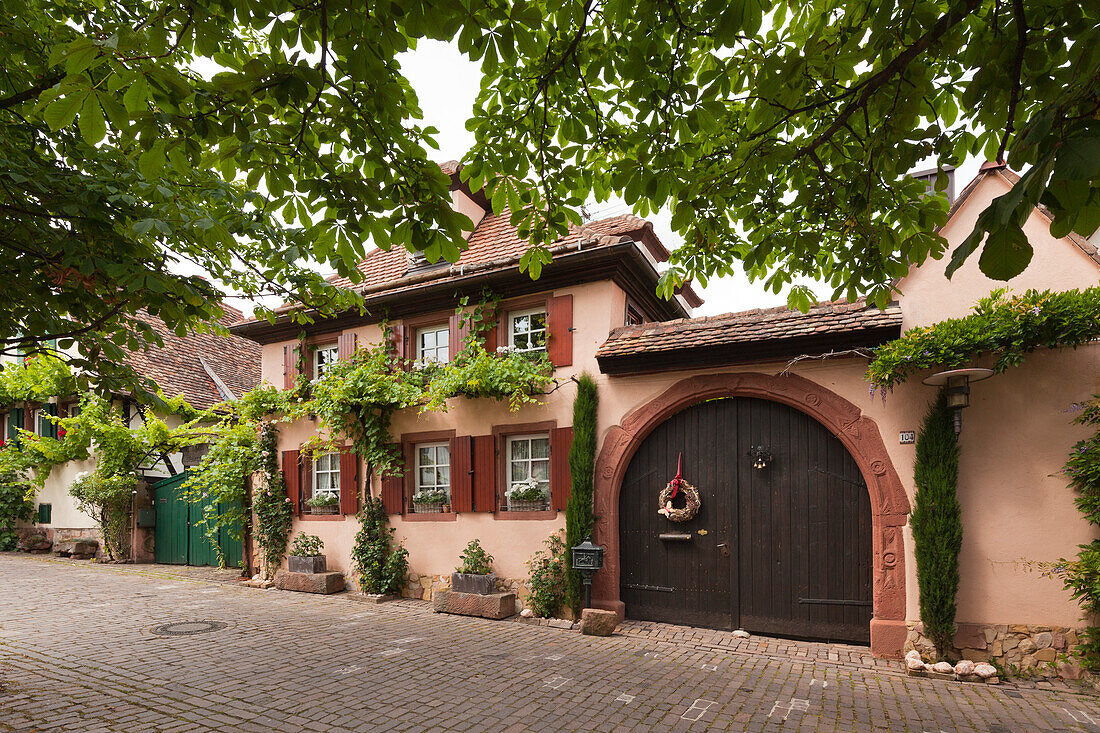 Winzerhaus, Rhodt unter Rietburg, Pfälzer Wald, Rheinland-Pfalz, Deutschland