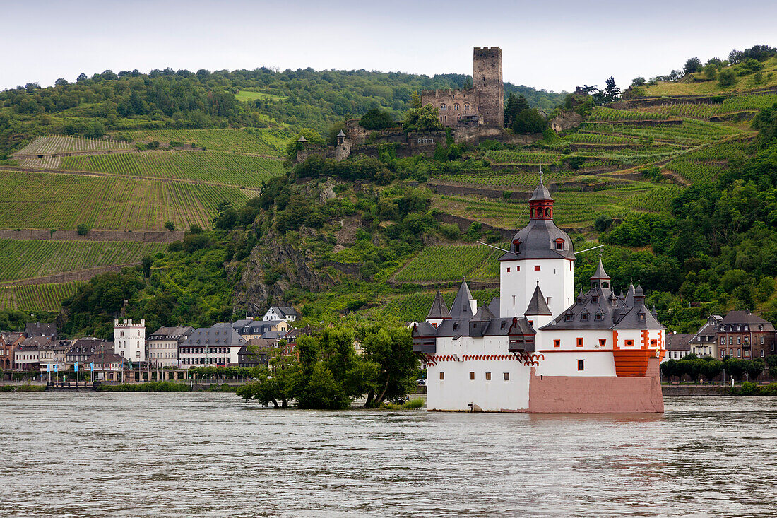 Burg Gutenfels und Pfalzgrafenstein, bei Kaub, Rhein, Rheinland-Pfalz, Deutschland