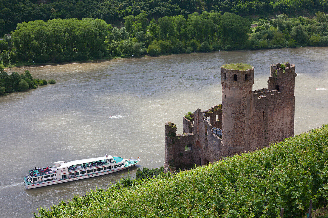 Excursion ship on the Rhine river at Ehrenfels castle, near Ruedesheim, Rhine river, Hesse, Germany