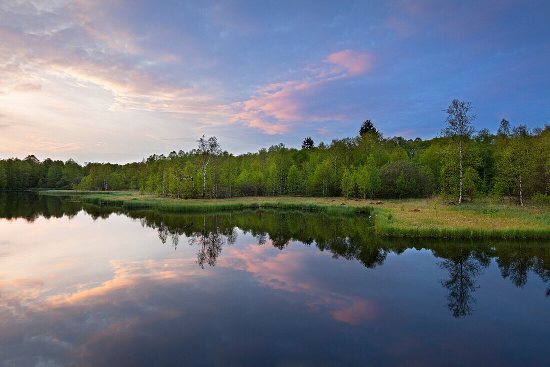 Moorweiher im Naturschutzgebiet Rotes Moor, Rhön, Hessen, Deutschland