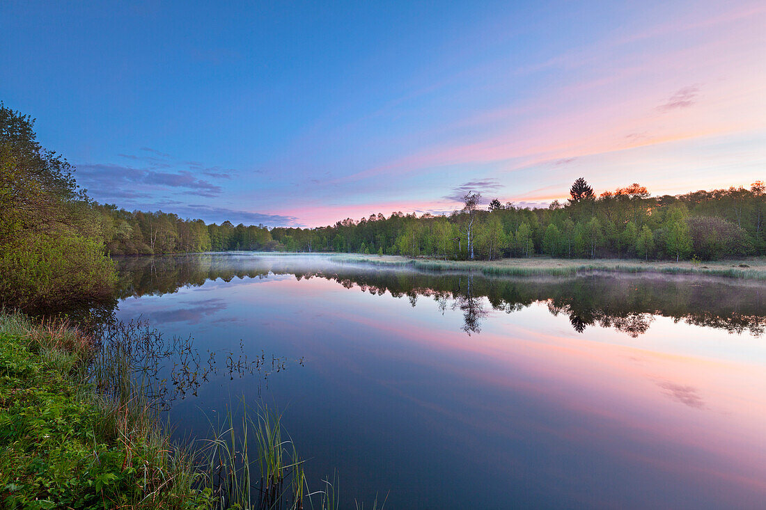 Moorweiher im Naturschutzgebiet Rotes Moor, Rhön, Hessen, Deutschland