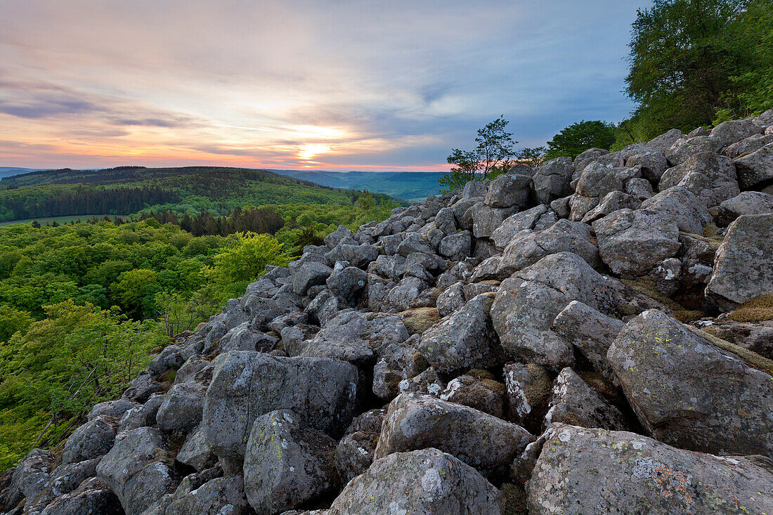 Basaltblockmeer am Schafstein, bei Ehrenberg, Rhön, Hessen, Deutschland