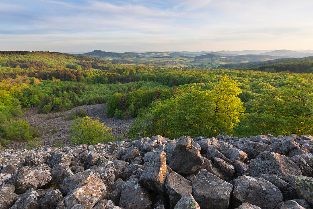 Basaltblockmeer am Schafstein, bei Ehrenberg, Rhön, Hessen, Deutschland