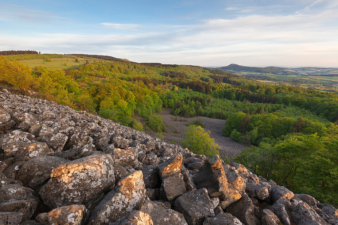 Basaltic columns at Schafstein rock, near Ehrenberg, Rhoen, Hesse, Germany