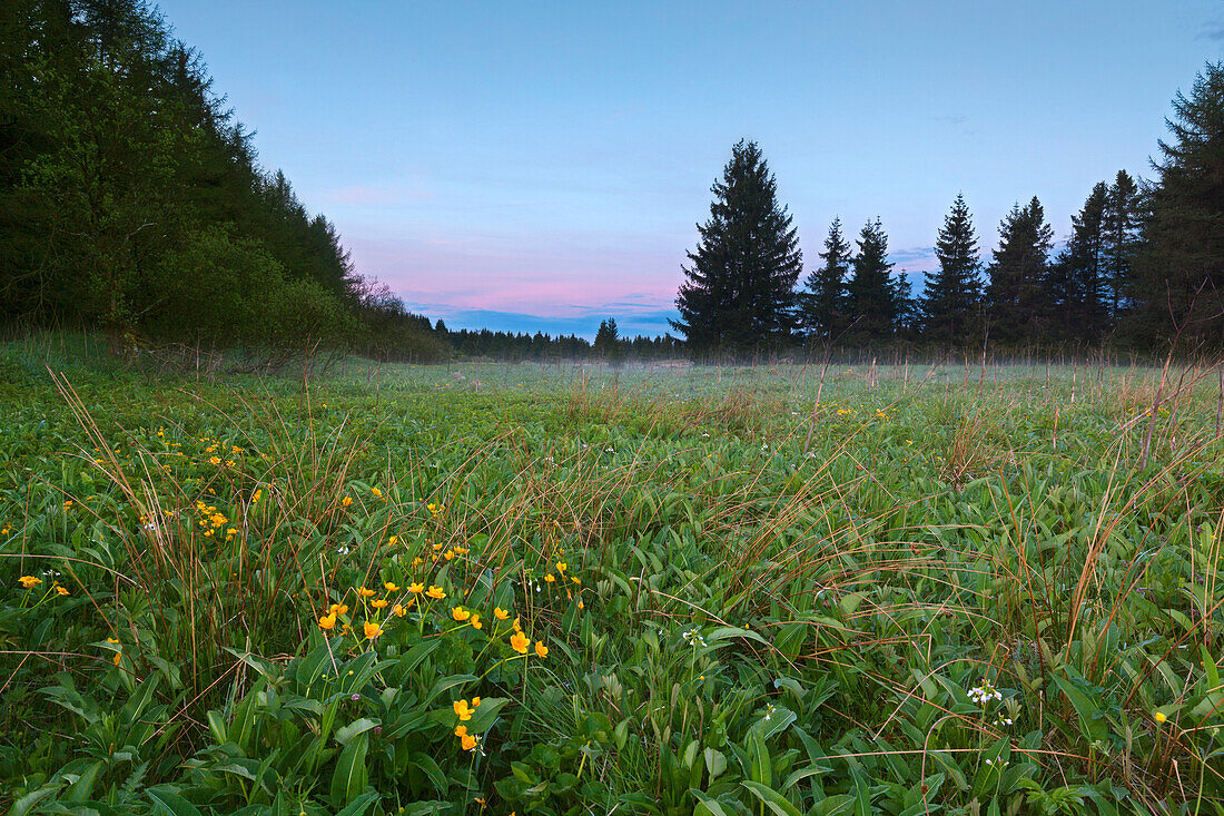 Nature reserve Rotes Moor, Rhoen, Hesse, Germany