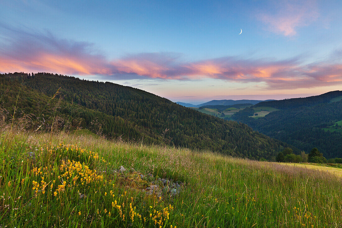 Landscape at Wiedener Eck, Muenstertal, Black Forest, Baden-Wuerttemberg, Germany