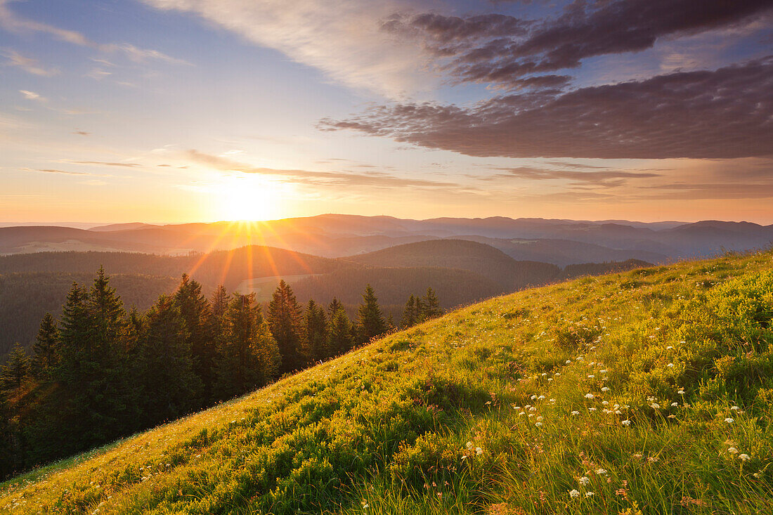 Morning mood at Belchen, Black Forest, Baden-Wuerttemberg, Germany