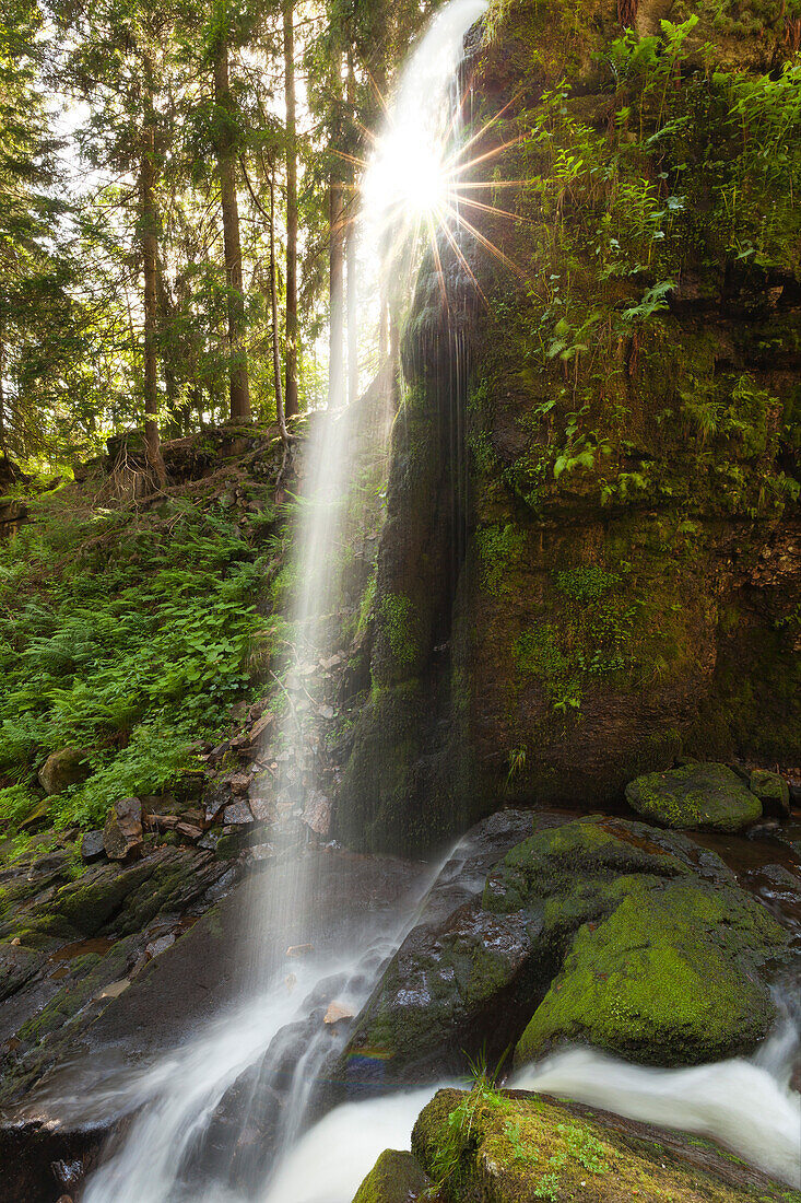 Wasserfall bei Menzenschwand, Südlicher Schwarzwald, Baden-Württemberg, Deutschland