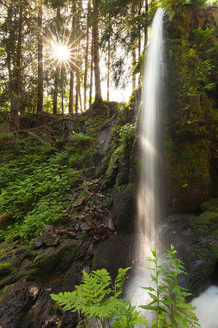 Wasserfall bei Menzenschwand, Südlicher Schwarzwald, Baden-Württemberg, Deutschland