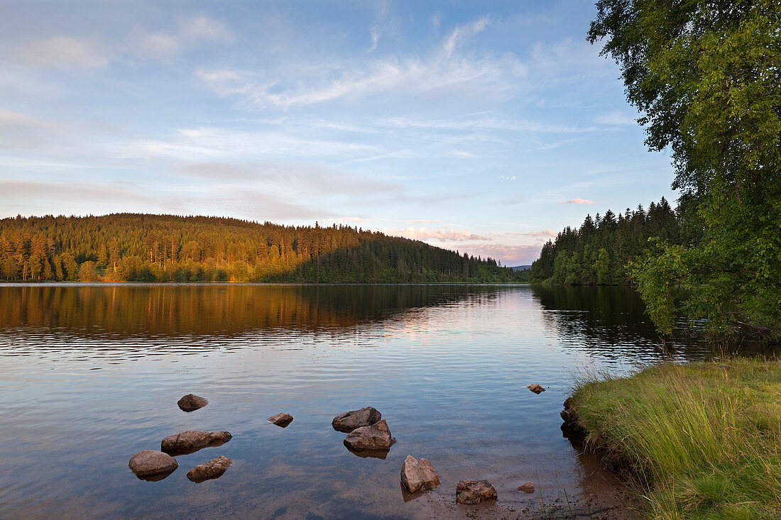 Windgfaellweiher near lake Schluchsee, Black Forest, Baden-Wuerttemberg, Germany