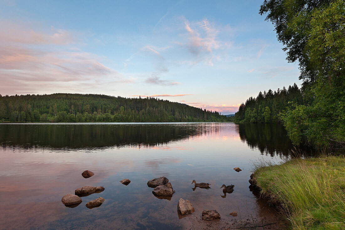 Windgfällweiher nahe Schluchsee, Südlicher Schwarzwald, Baden-Württemberg, Deutschland