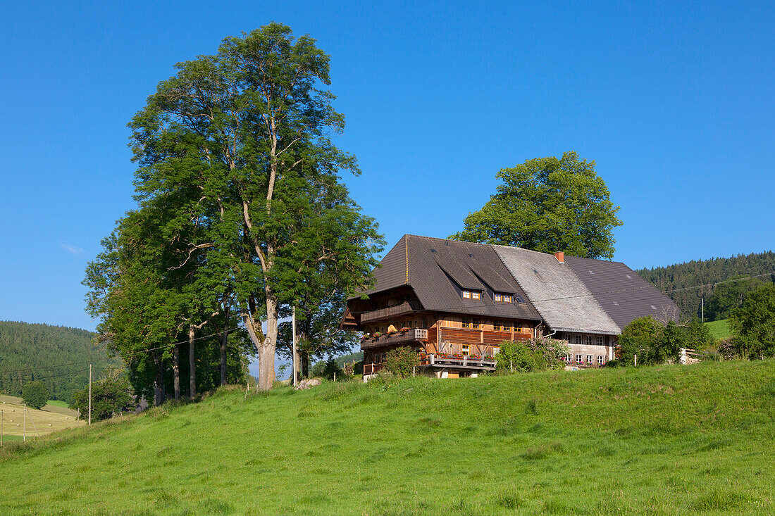 Farmhouses in Jostal valley, Black Forest, Baden-Wuerttemberg, Germany