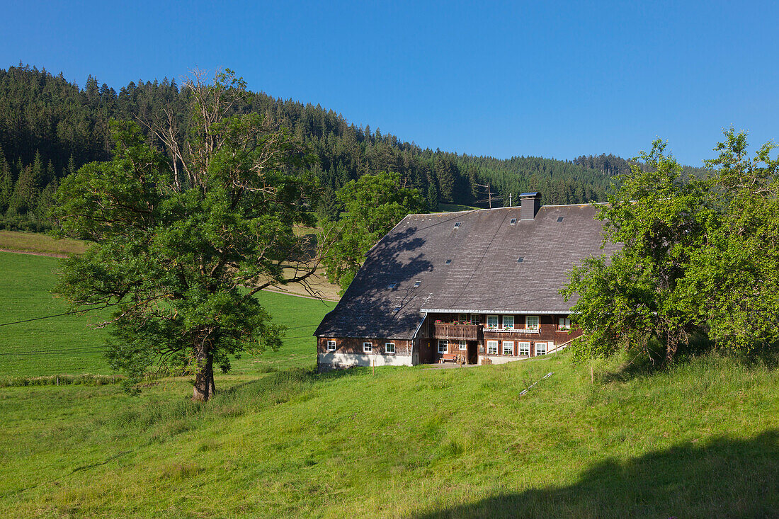 Farmhouses in Jostal valley, Black Forest, Baden-Wuerttemberg, Germany