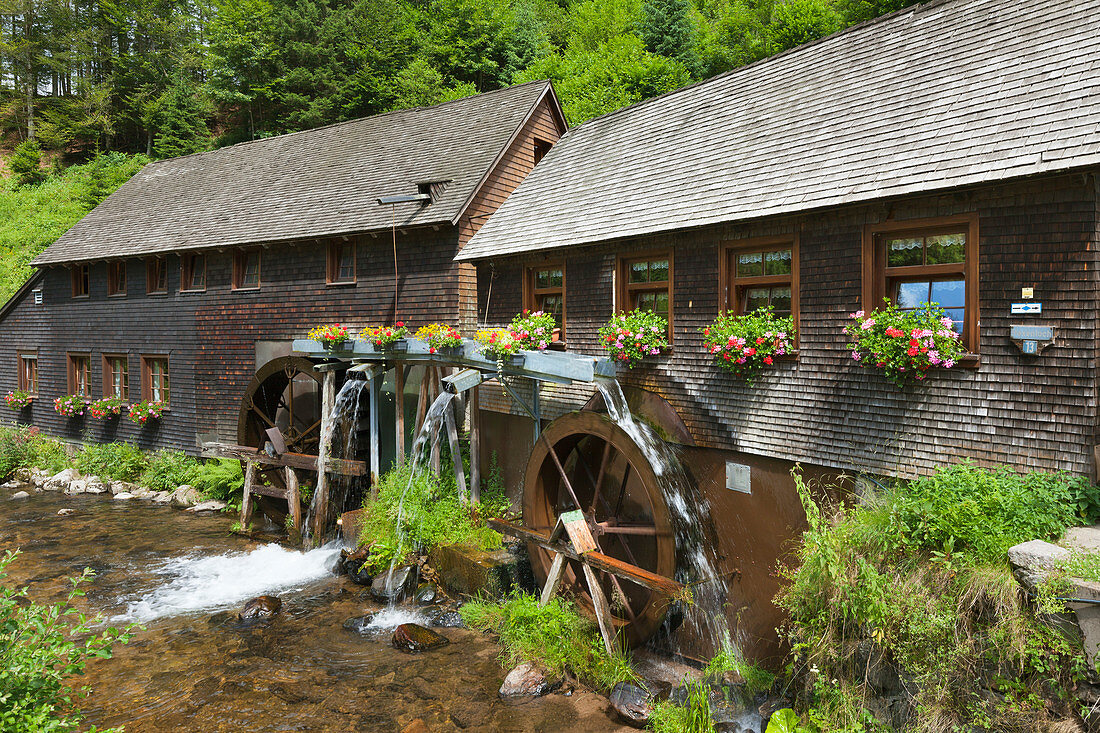 Hexenlochmühle, Südlicher Schwarzwald, Baden-Württemberg, Deutschland