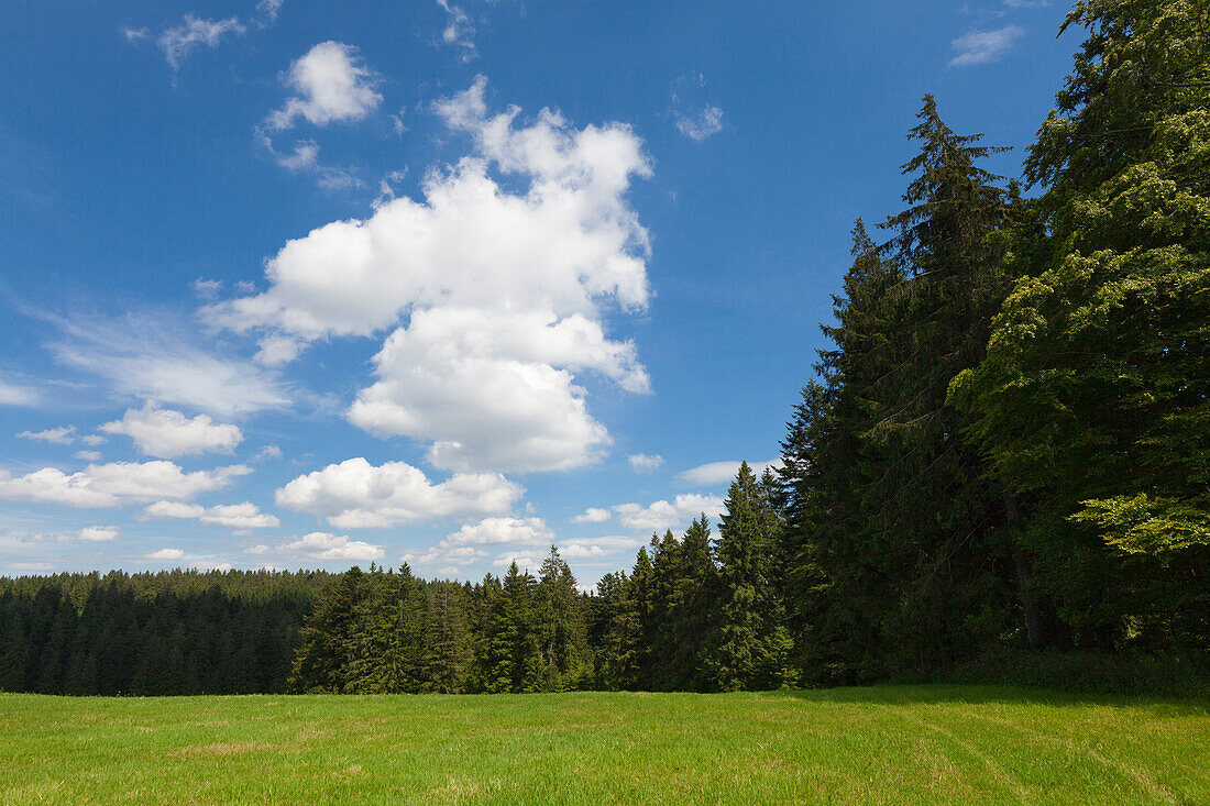 Landscape on the Black Forest Panoramic Road, Black Forest, Baden-Wuerttemberg, Germany