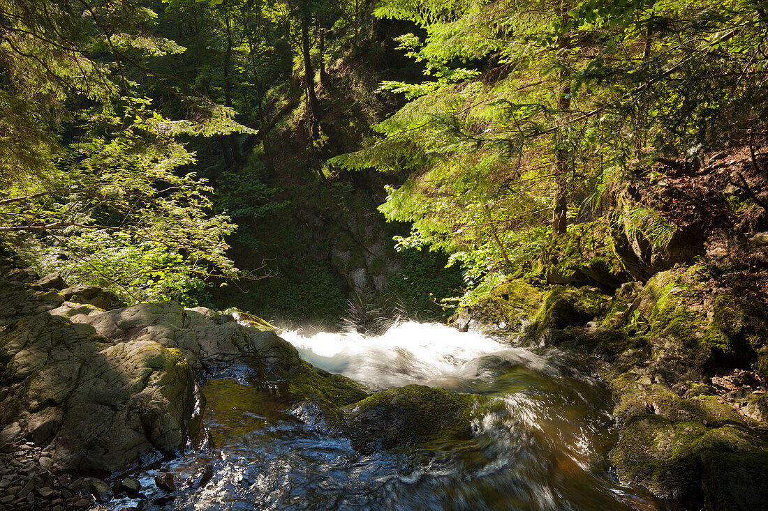 Ravennaschlucht, Südlicher Schwarzwald, Baden-Württemberg, Deutschland