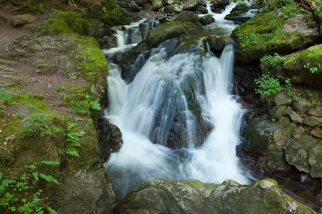 Ravennaschlucht, Südlicher Schwarzwald, Baden-Württemberg, Deutschland