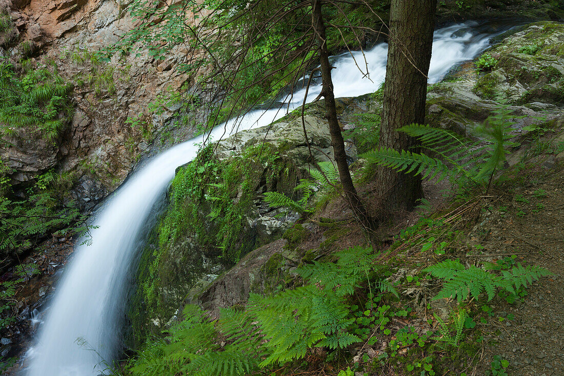 Ravennaschlucht, Black Forest, Baden-Wuerttemberg, Germany