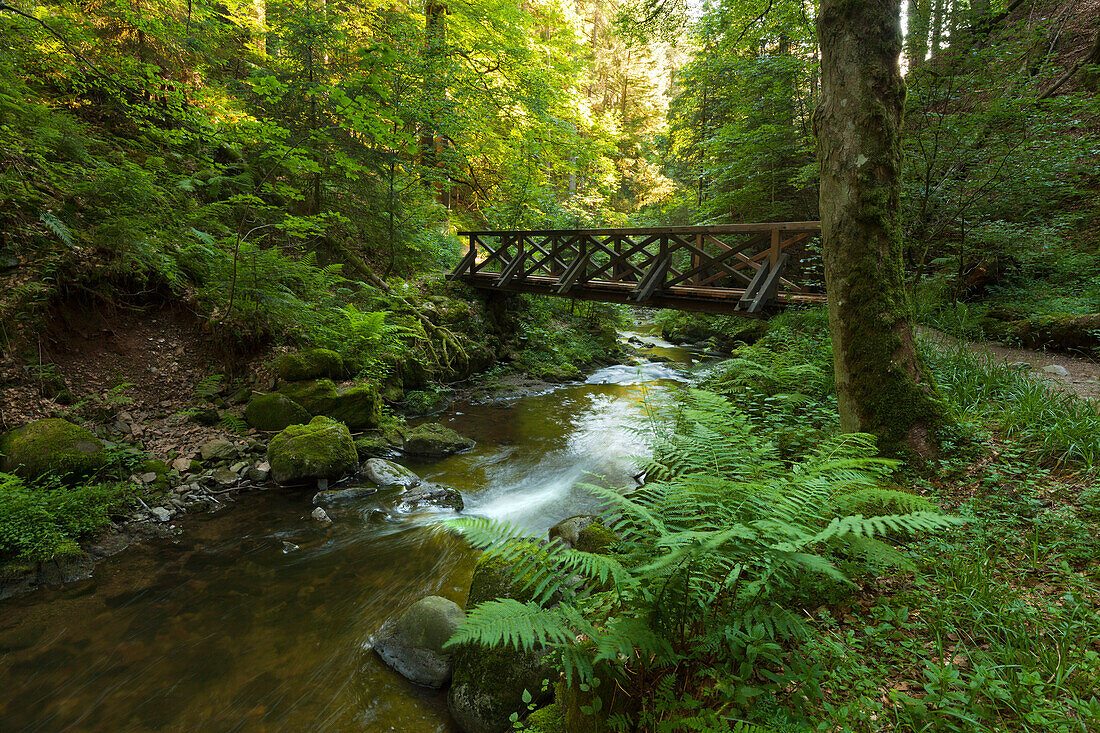 Ravennaschlucht, Südlicher Schwarzwald, Baden-Württemberg, Deutschland