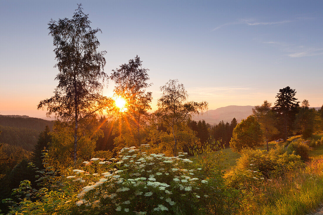 Blick von der Schwarzwaldpanoramastraße, Südlicher Schwarzwald, Baden-Württemberg, Deutschland