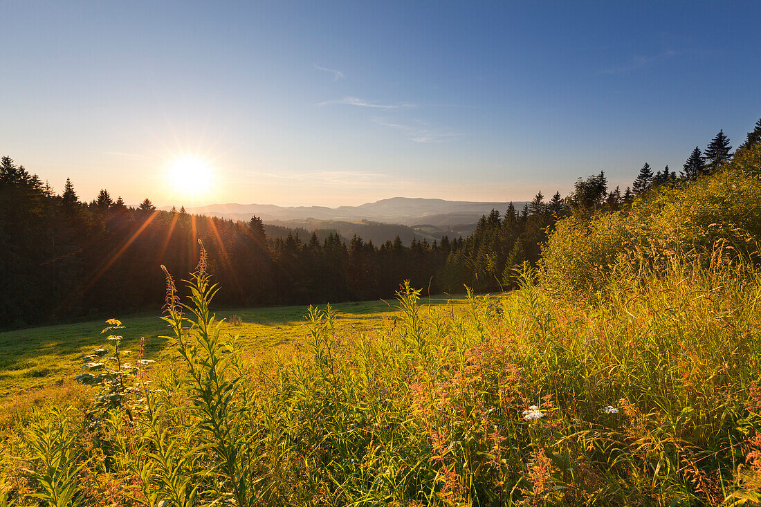 View along the Black Forest Panoramic Road, Black Forest, Baden-Wuerttemberg, Germany
