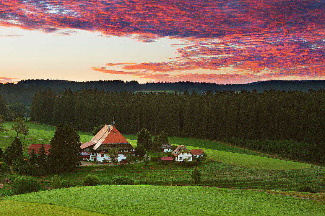 Schwarzwaldhof bei Gütenbach, Südlicher Schwarzwald, Baden-Württemberg, Deutschland