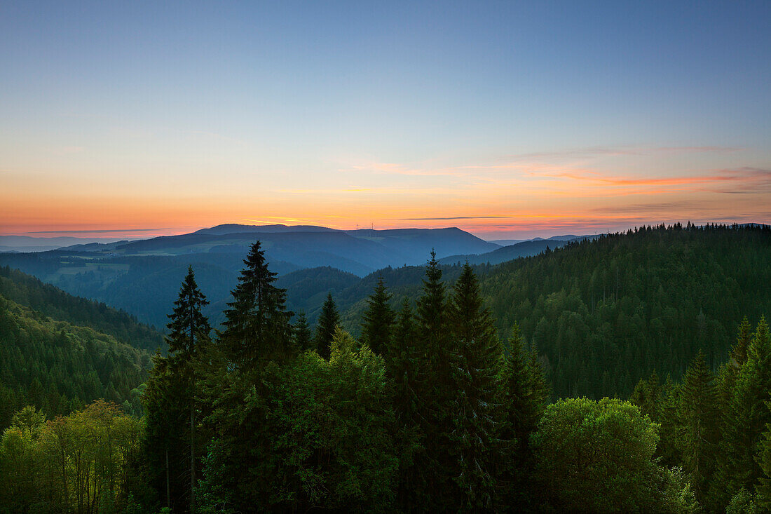 Blick von der Schwarzwaldpanoramastraße, Südlicher Schwarzwald, Baden-Württemberg, Deutschland