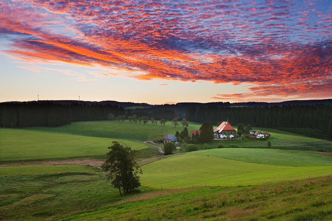 Schwarzwaldhof bei Gütenbach, Südlicher Schwarzwald, Baden-Württemberg, Deutschland