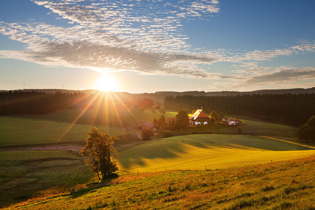 Farmhouse near Guetenbach, Black Forest, Baden-Wuerttemberg, Germany