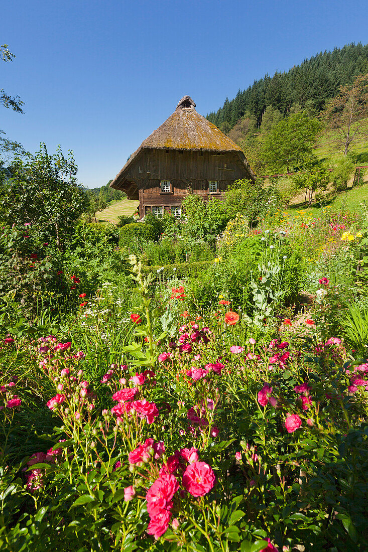 Schwarzwaldhaus bei Oberprechtal, Südlicher Schwarzwald, Baden-Württemberg, Deutschland