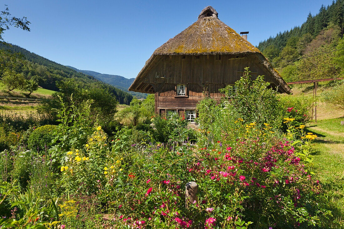 Farmhouse at Oberprechtal, Black Forest, Baden-Wuerttemberg, Germany