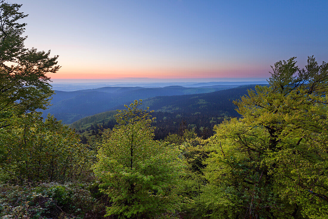View from Grosser Inselsberg towards the mountains of the Thuringia Forest, Thuringia, Germany