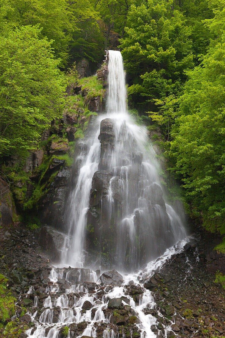 Trusetal waterfall, Thuringia Forest, Thuringia, Germany