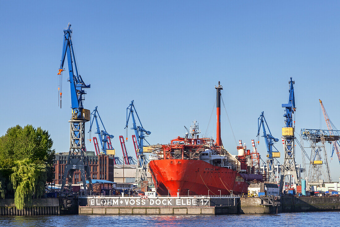 Blick von St.-Pauli-Landungsbrücken auf Hamburger Hafen mit Dock Blohm + Voss Elbe 17, Hansestadt Hamburg, Norddeutschland, Deutschland, Europa