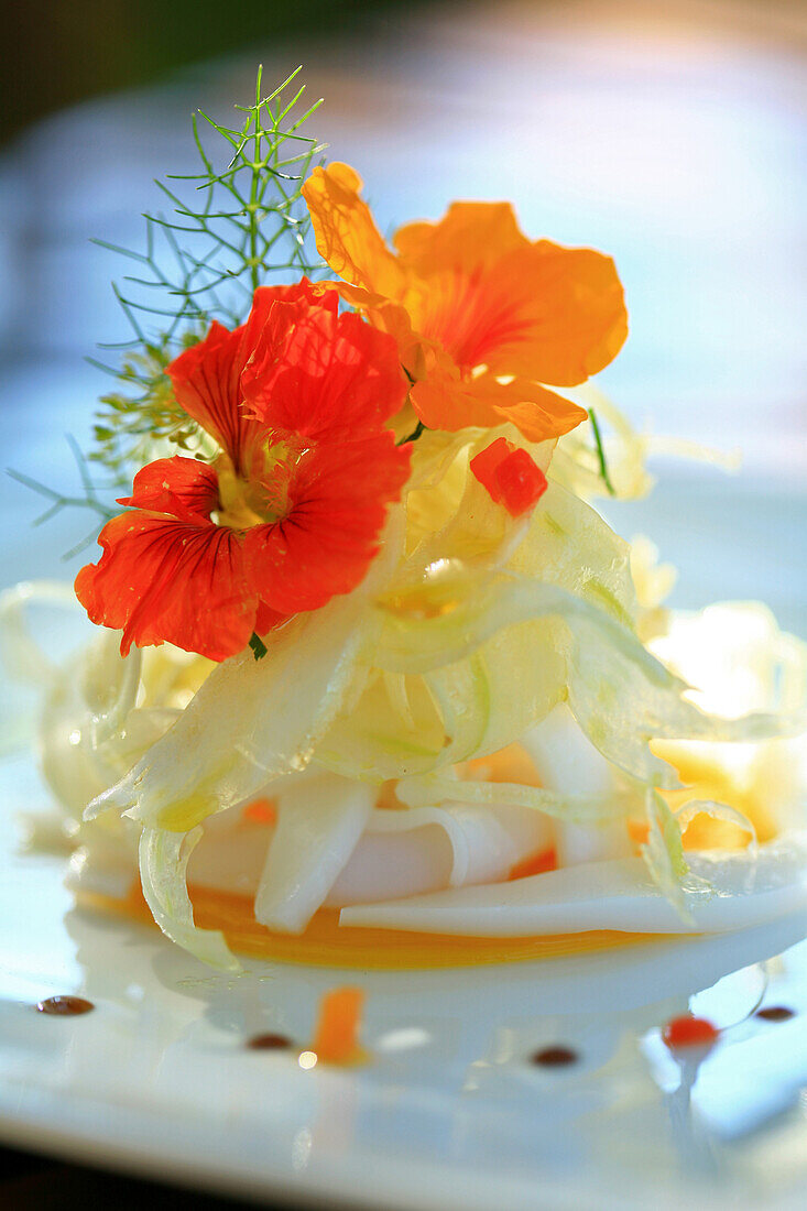 France, Vaucluse, Lourmarin, yellow pepper in transparent jelly, sepias salad with hot chili sauce and fennel, granada vinagar
